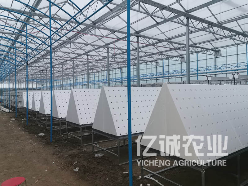 薯類作物的溫室大棚怎么建設(shè)？造價高不高？